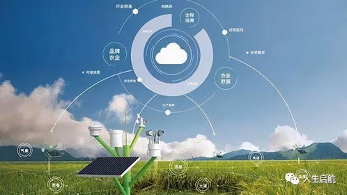 網(wǎng)絡(luò)技術(shù)開發(fā)專業(yè)就業(yè)前景盤點 揭秘未來職業(yè)發(fā)展方向